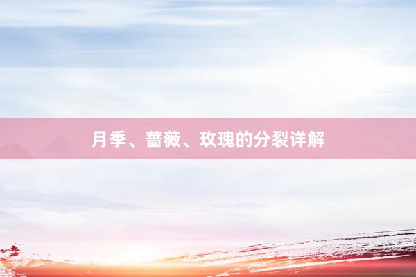月季、蔷薇、玫瑰的分裂详解