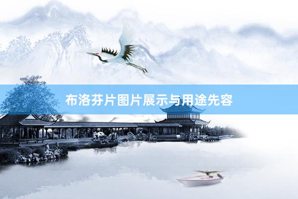 布洛芬片图片展示与用途先容